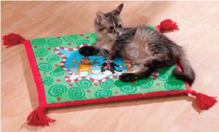 Fat Cat Boogie Mat For De Cat Assorted On Sale Entirelypets